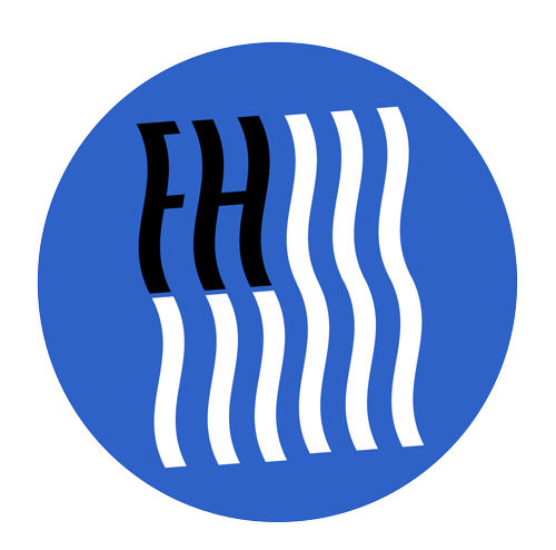 Fashinn Hair Logo