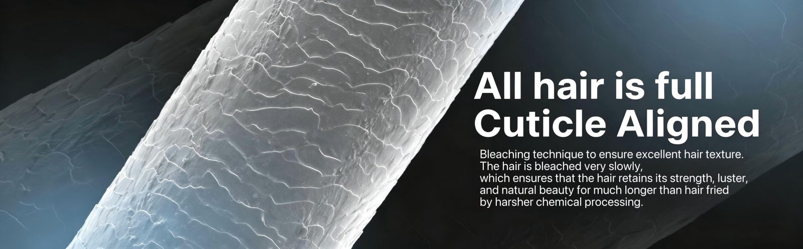 fashinnhair banner