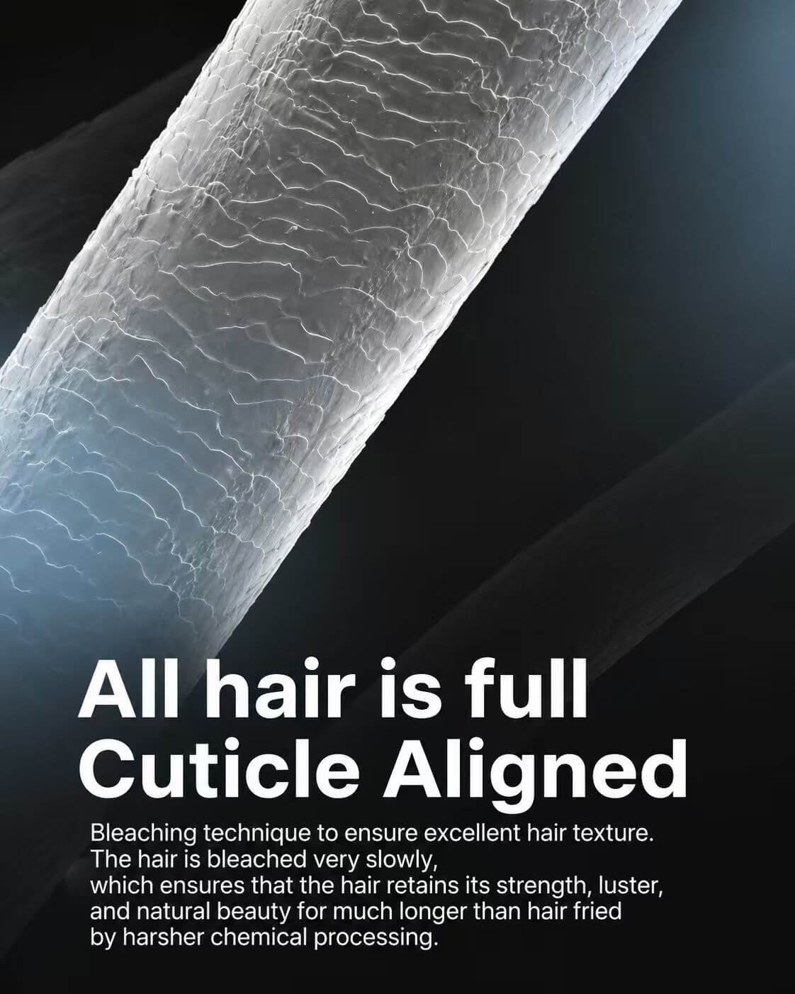 fashinnhair banner